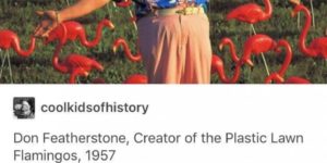 Plastic Flamingoes