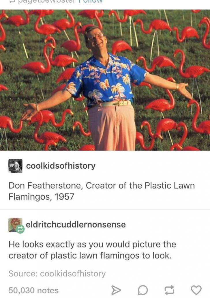 Plastic Flamingoes