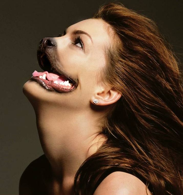 Anne Hathaway as a dog.
