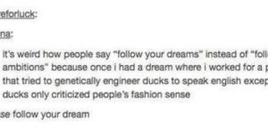 Follow your dreams