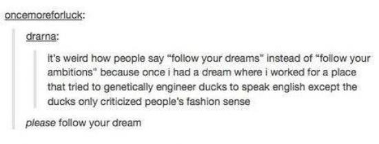 Follow your dreams