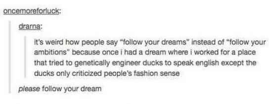 Follow your dreams