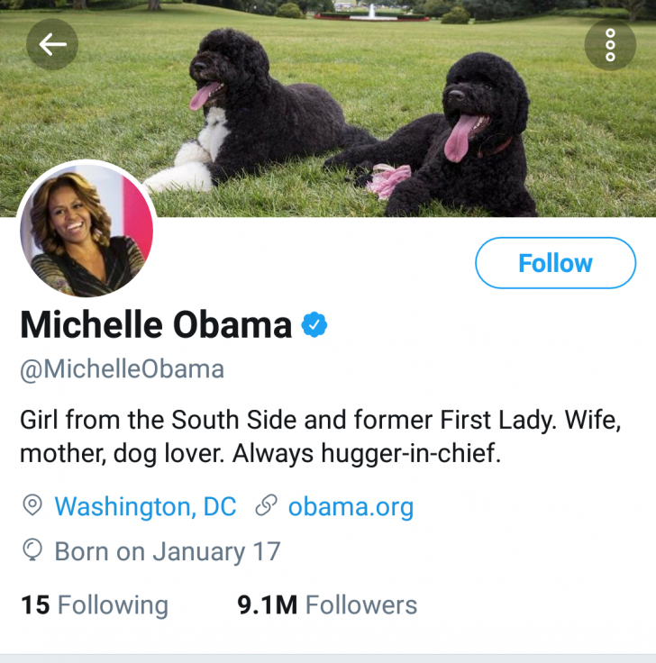 Michelle Obama's bio is wholesome.