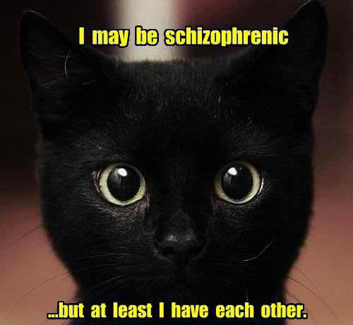 I may be schizophrenic.