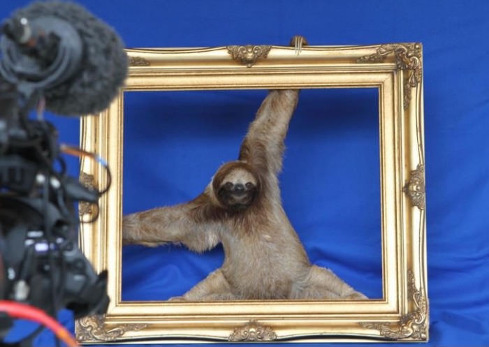 Everytime I try to pose for a photo