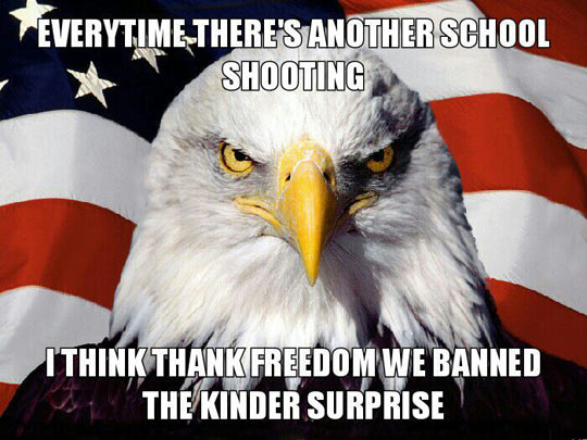 Every time there is a school shooting...