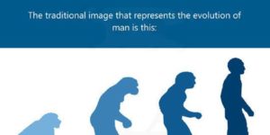 For Those Who Believe Humans Evolved From Monkeys