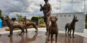 Lets not forget the efforts of the service dogs that serve and protect our service men and women.