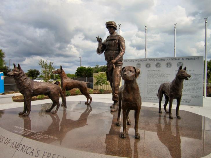 Lets not forget the efforts of the service dogs that serve and protect our service men and women.
