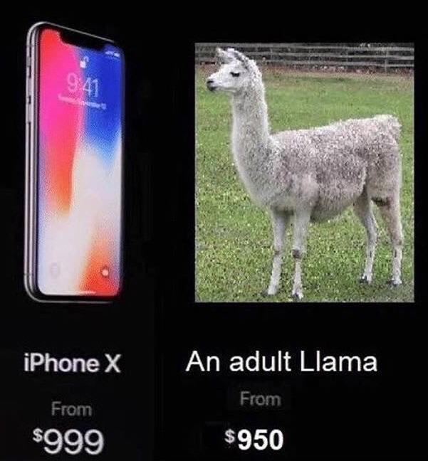 Choose wisely