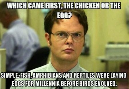 Which came first, the chicken or the egg?