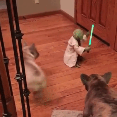I am the one with the force