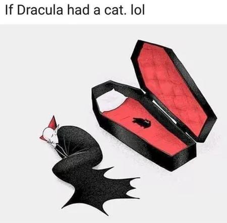 If Dracula Had A Cat Lol...