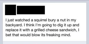 Trolling a squirrel.