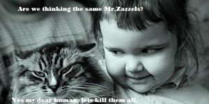 Are we thinking the same, Mr. Zazzles?