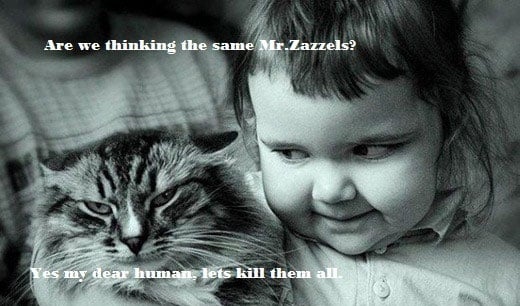 Are we thinking the same, Mr. Zazzles?