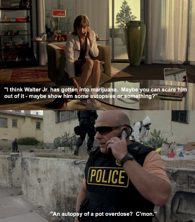 If only our government was as logical as scriptwriters for Breaking Bad...
