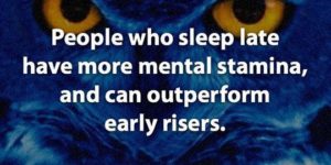 Fun Fact About Night Owls