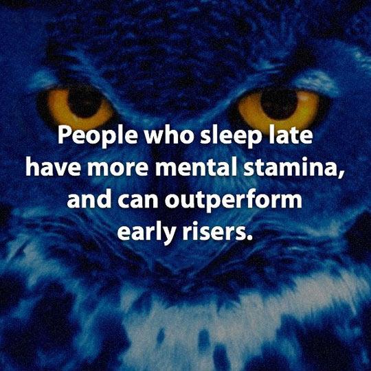 Fun Fact About Night Owls