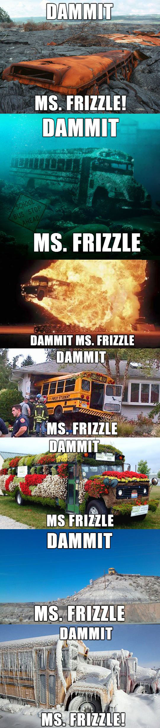 We trusted you, Mrs Frizzle