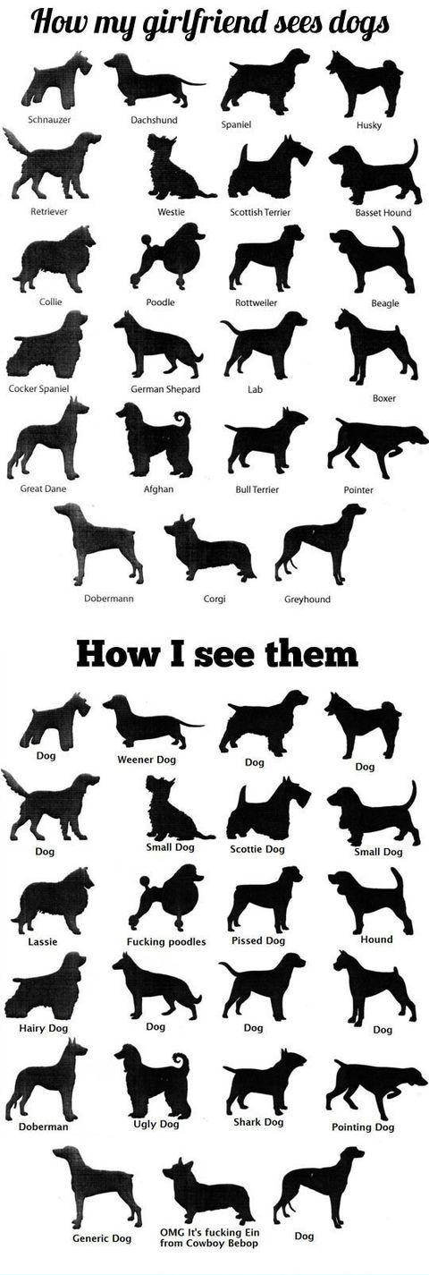 How I see dogs