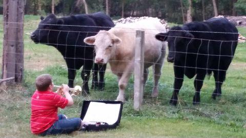 Neighbor boy was told to practice his trumpet somewhere else