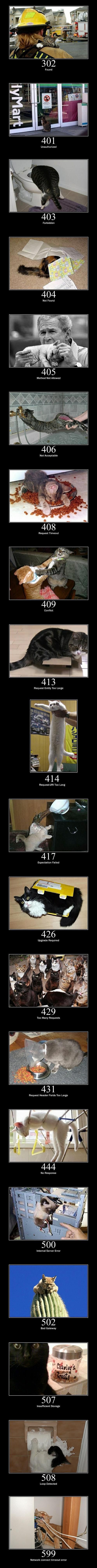 HTTP CATS
