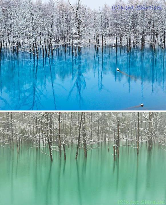 Blue Pond in Hokkaido Japan turns turquoise blue or emerald green, depending on the weather and amount of light.