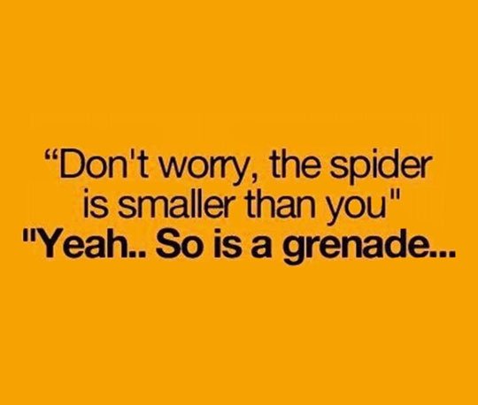 Don't worry, spiders are small.