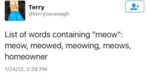 I will never say homeowner the same again.