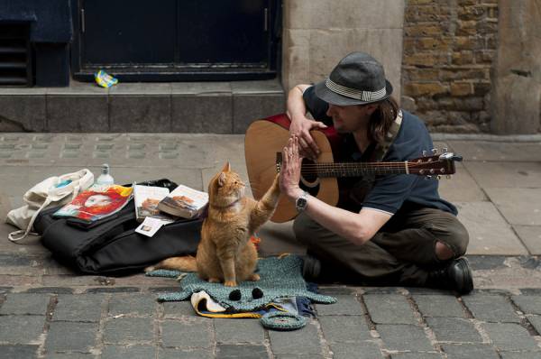 We did it human! We got a dollar!