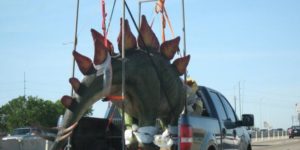 Just a Stegosaurus in a pickup