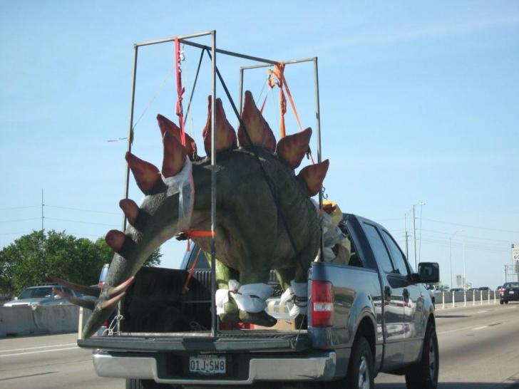 Just a Stegosaurus in a pickup
