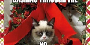 Happy Holidays from Grumpy Cat.