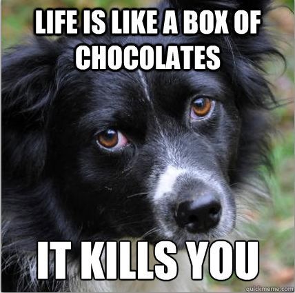 Depressed dog talks about life.