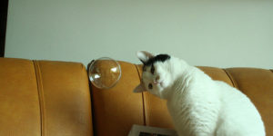 Speak to me magic bubble!