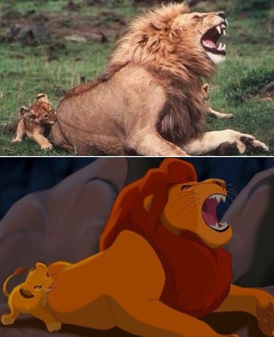 Lion King in real life