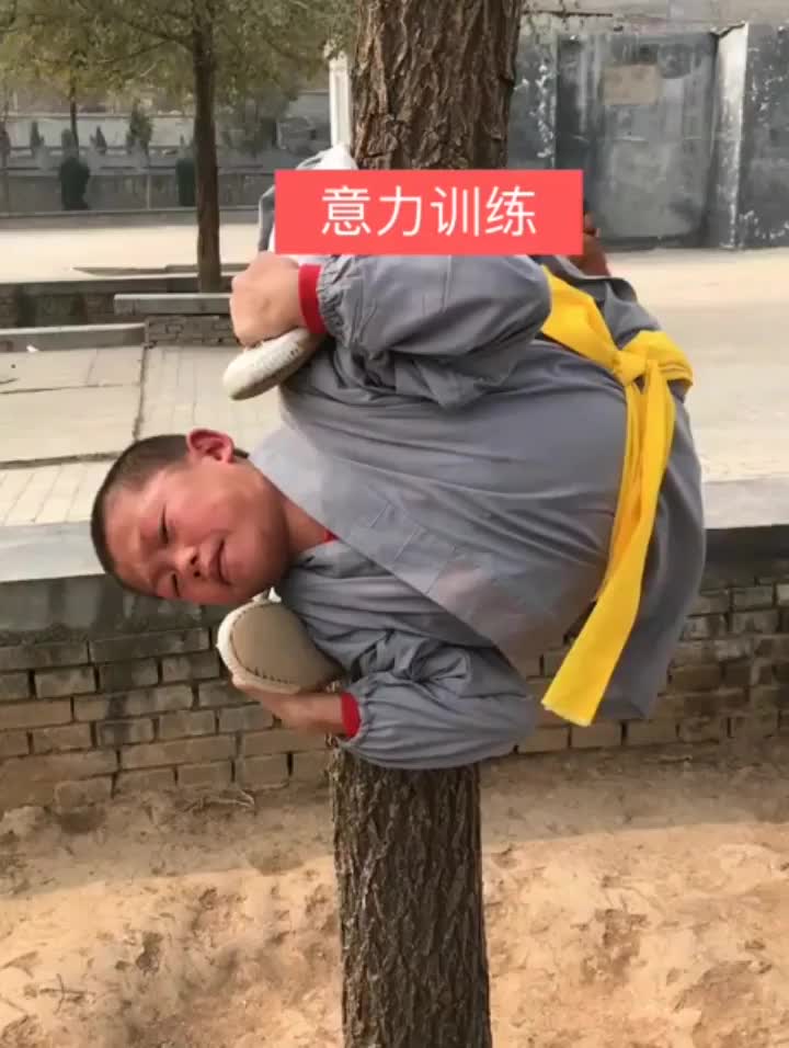 Shaolin training is hardcore.