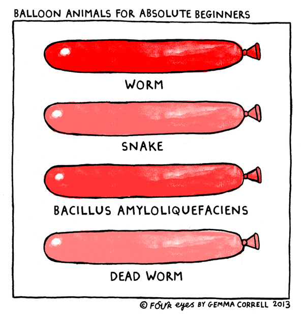 Balloon animals for beginners.