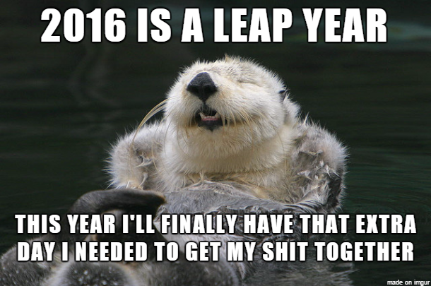 Happy New Year from Optimistic Otter!