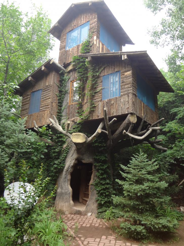 Three story tree house