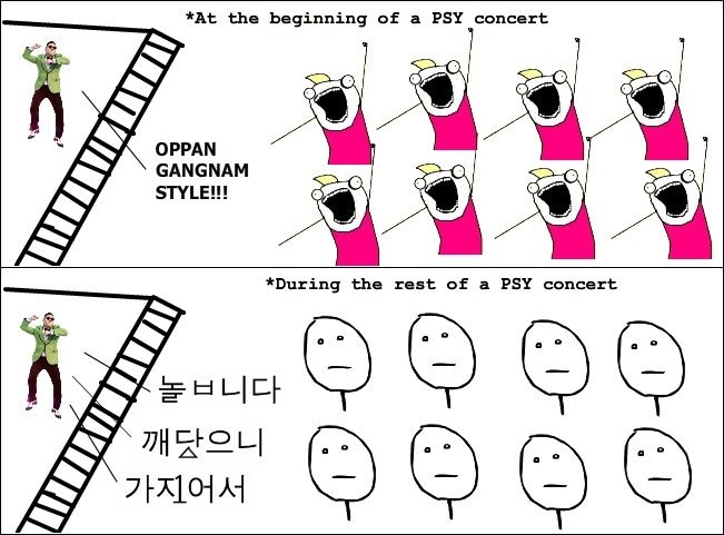 Reality of a PSY concert