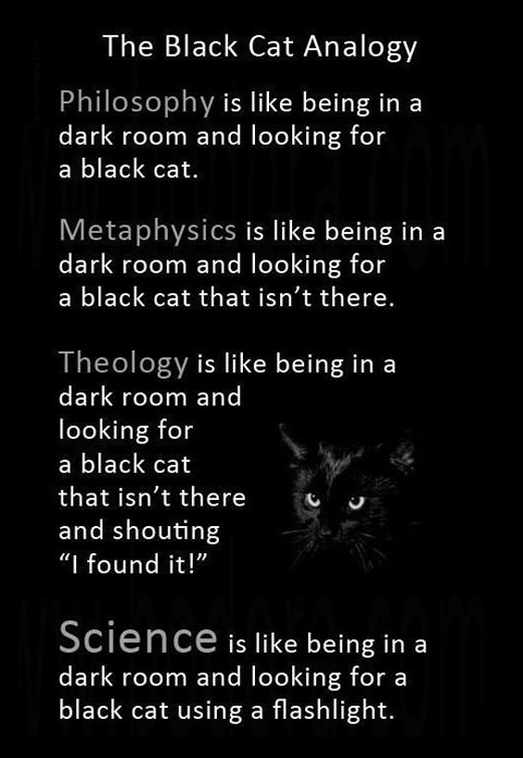 The Black Cat Analogy.