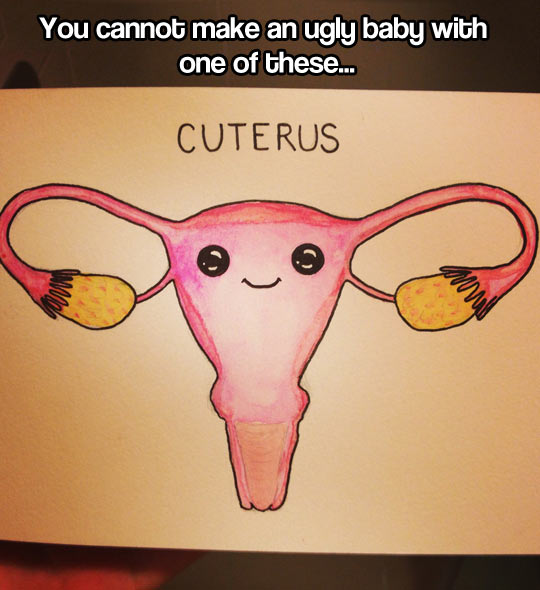 Look at my cuterus!