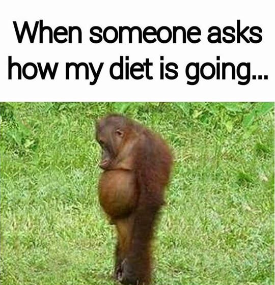 How's that diet going?