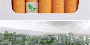 Biodegradable cigarette filters
