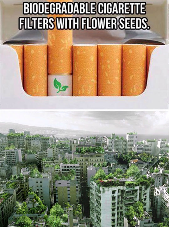 Biodegradable cigarette filters