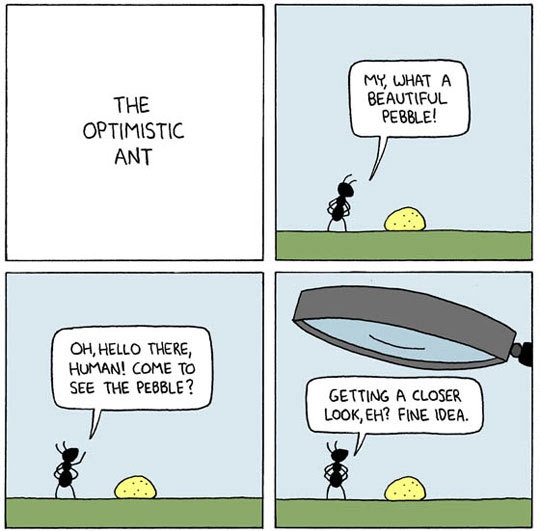 The optimistic ant.