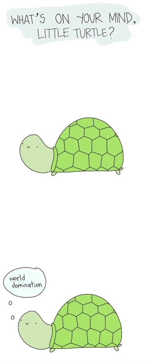 What's on your mind, little turtle?