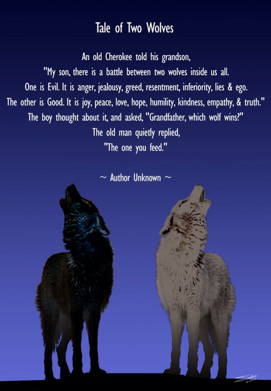 Tale of Two Wolves